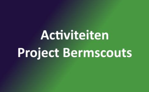 Activiteiten Project Bermscouts 2022