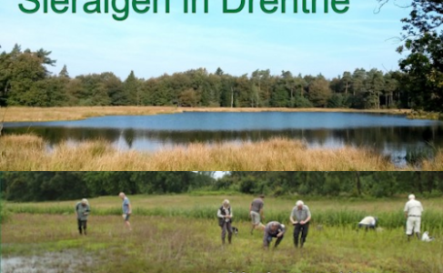 Sieralgenatlas van Drenthe is uit!